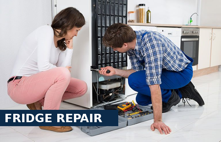 Fridge Repair Deptford